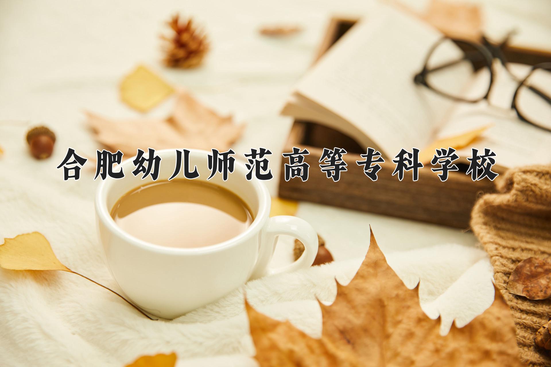 合肥幼儿师范高等专科学校