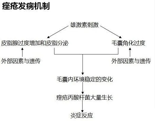 痤疮怎么读,痤疮的拼音是什么,痤疮的治疗方法