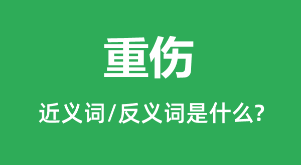 重伤的近义词和反义词是什么,重伤是什么意思