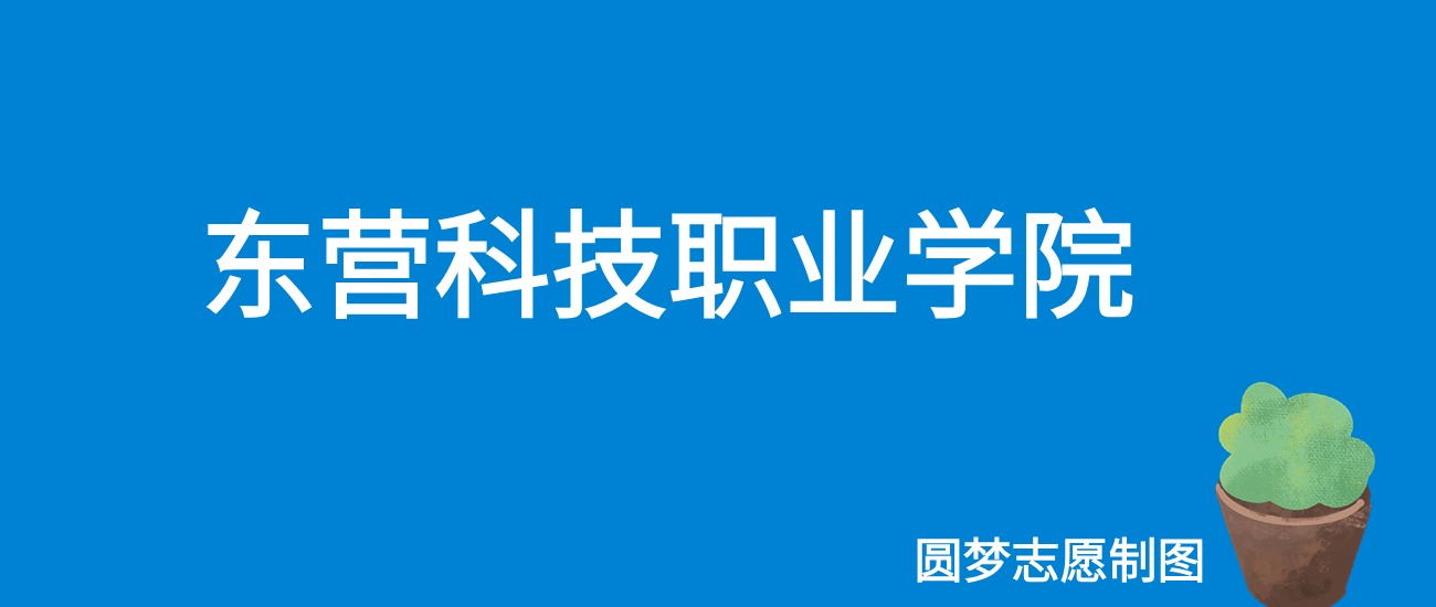 2024东营科技职业学院录取分数线（全国各省最低分及位次）