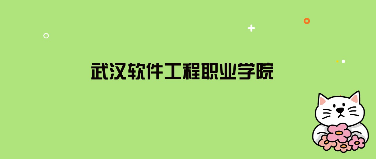 2024年武汉软件工程职业学院录取分数线是多少？看全国19省的最低分