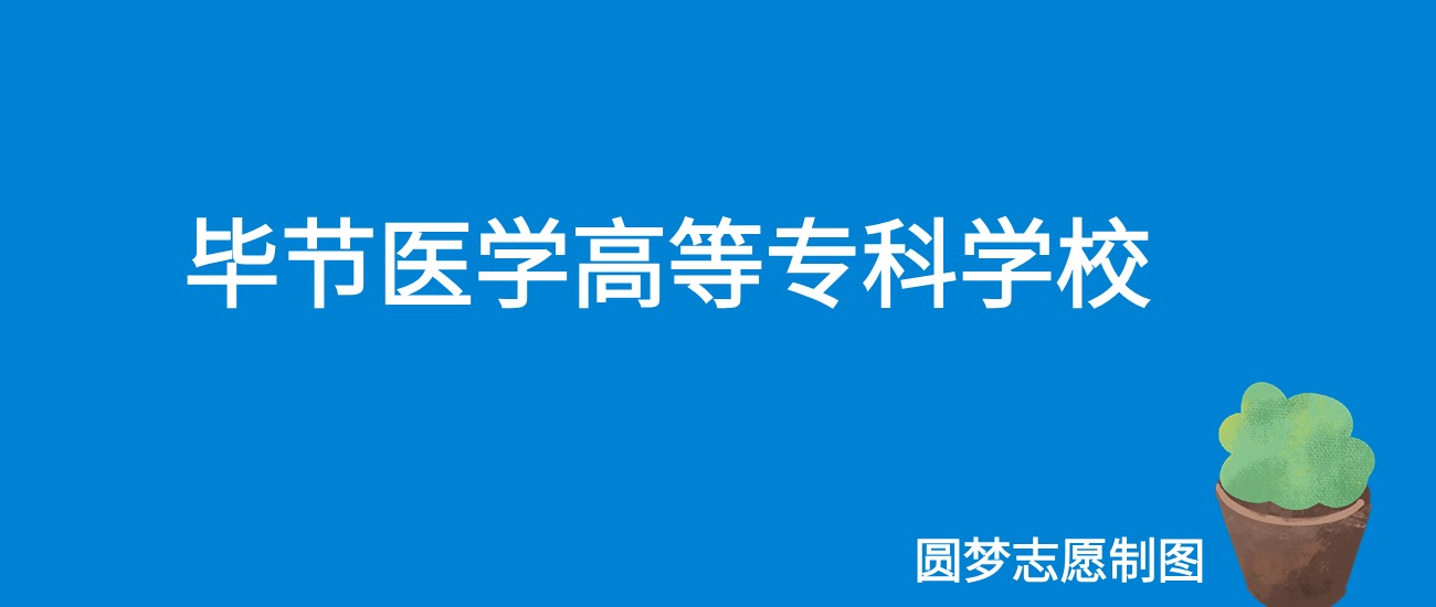 2024毕节医学高等专科学校录取分数线（全国各省最低分及位次）