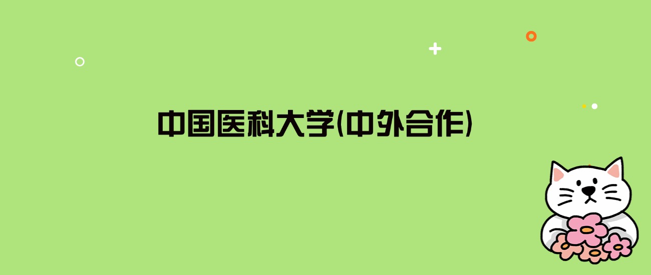 2024年中国医科大学(中外合作)录取分数线是多少？看6省最低分