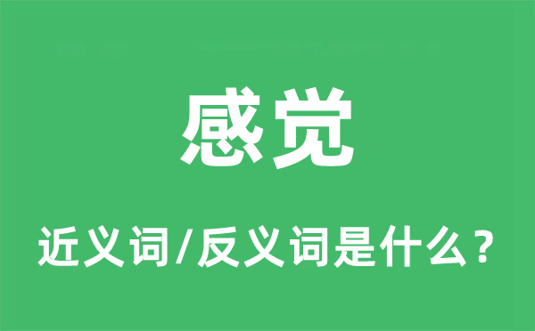 感觉的近义词和反义词是什么,感觉是什么意思