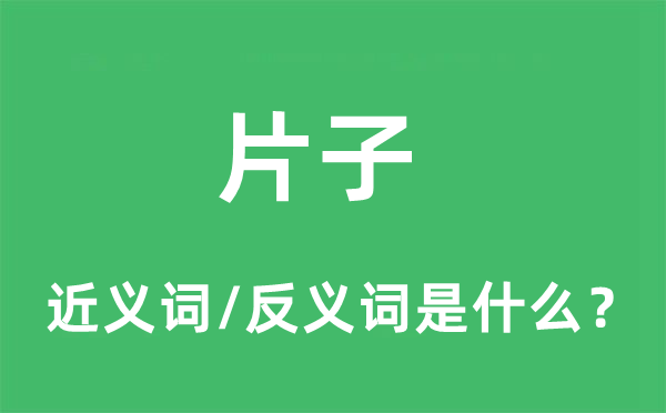 片子的近义词和反义词是什么,片子是什么意思