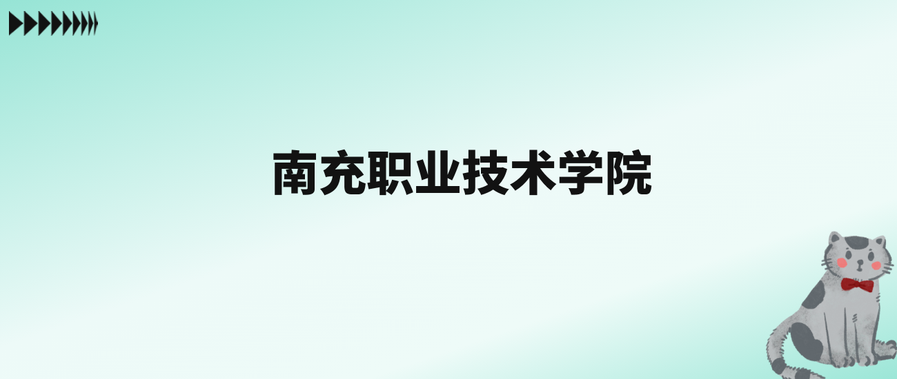 张雪峰评价南充职业技术学院：王牌专业是小学教育