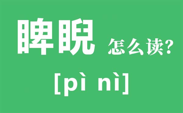 睥睨怎么读拼音是什么,睥睨是什么意思,睥睨的读音是什么