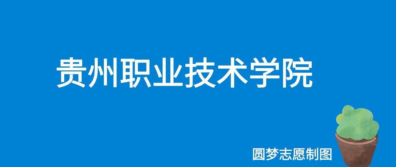 2024贵州职业技术学院录取分数线（全国各省最低分及位次）