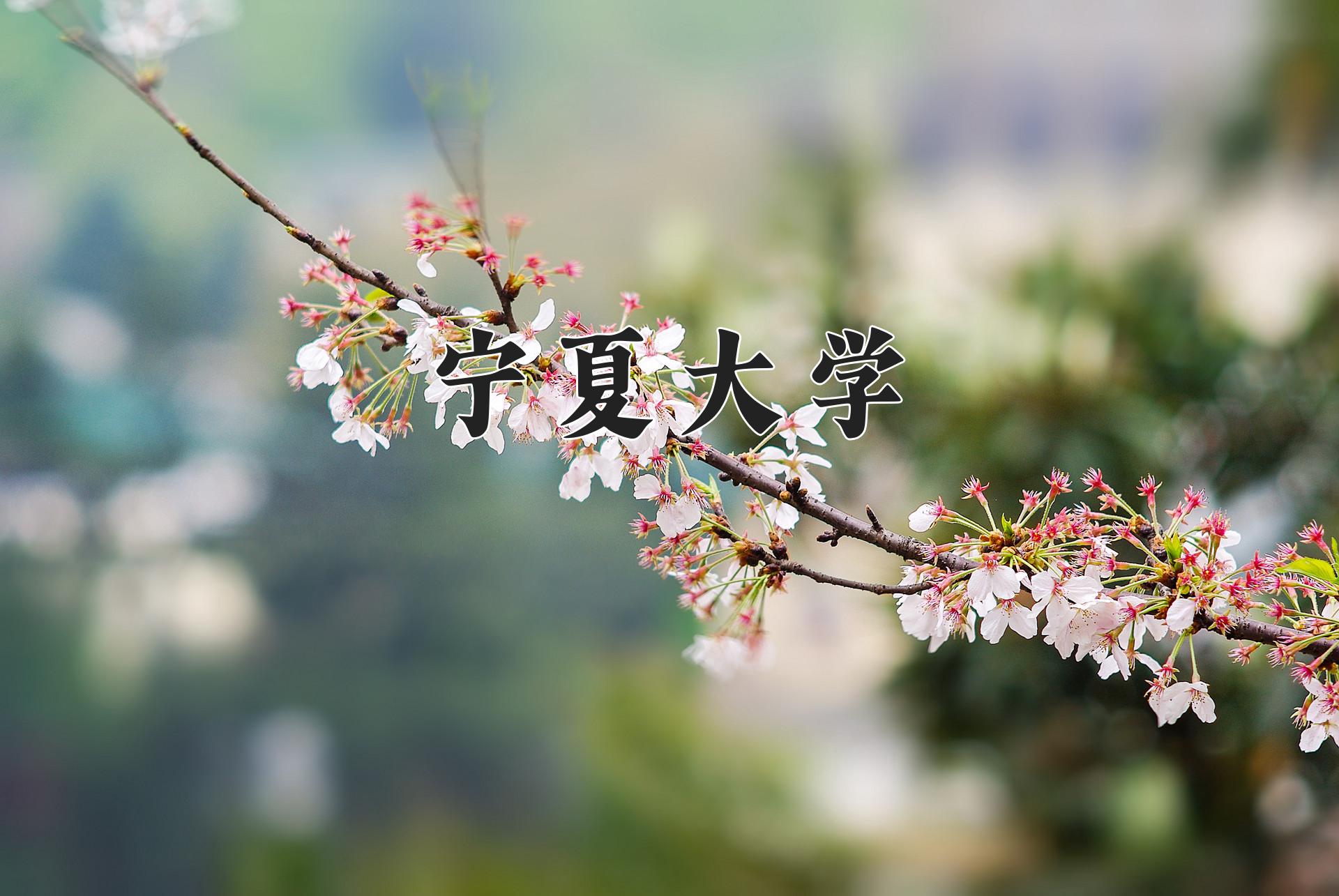 宁夏大学