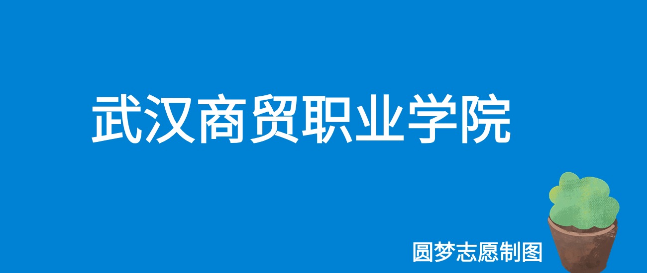 2024武汉商贸职业学院录取分数线（全国各省最低分及位次）