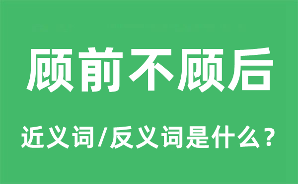 顾前不顾后的近义词和反义词是什么,顾前不顾后是什么意思