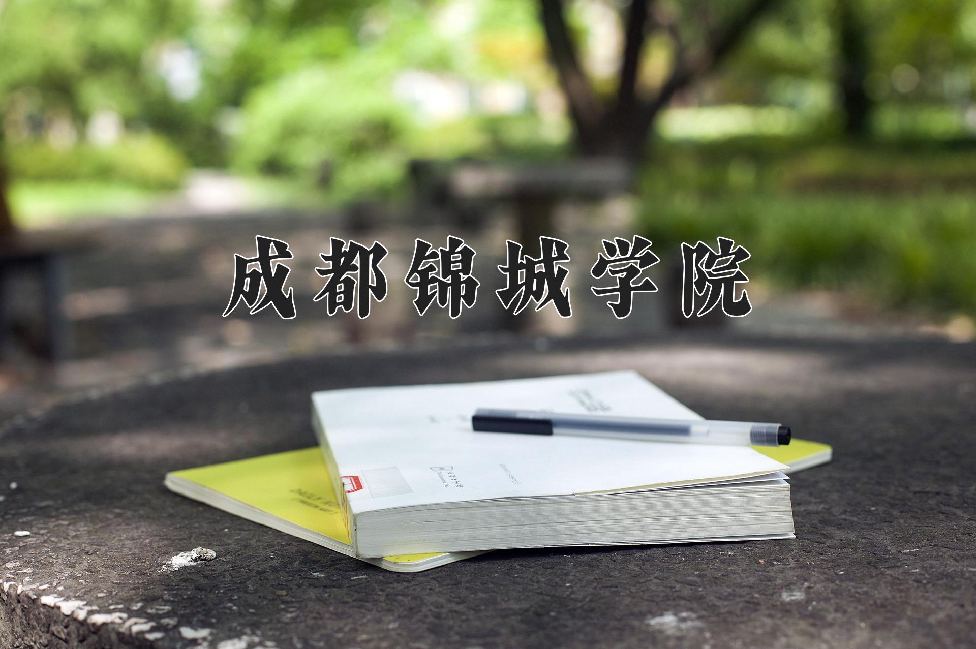 成都锦城学院