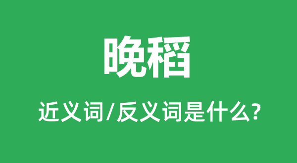 晚稻的近义词和反义词是什么,晚稻是什么意思