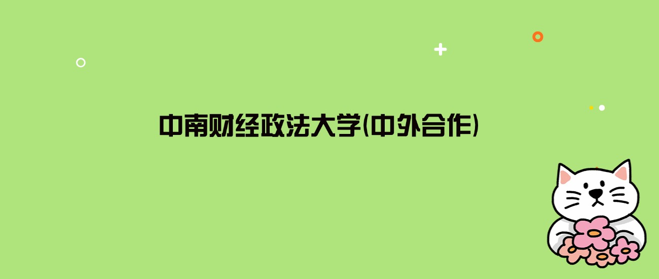 2024年中南财经政法大学(中外合作)录取分数线是多少？看4省最低分