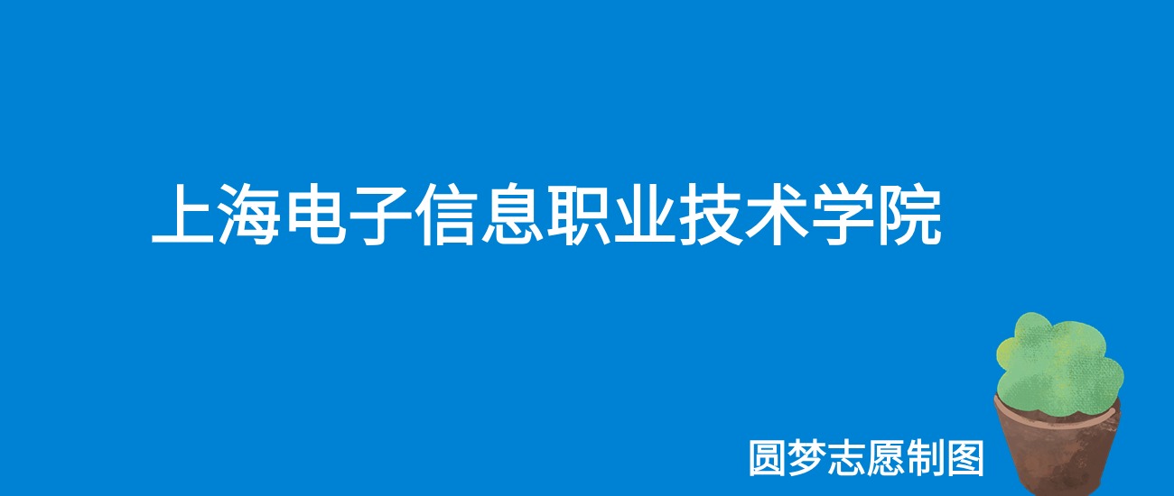 2024上海电子信息职业技术学院录取分数线（全国各省最低分及位次）