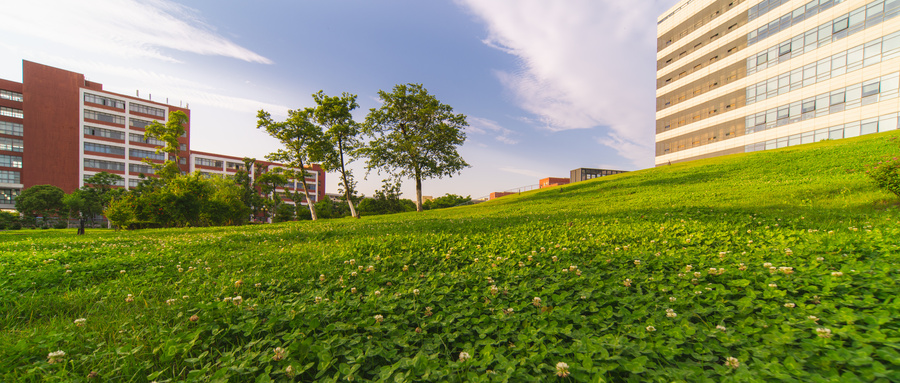 ​2024年全国211大学排名：十所最差的211 大学