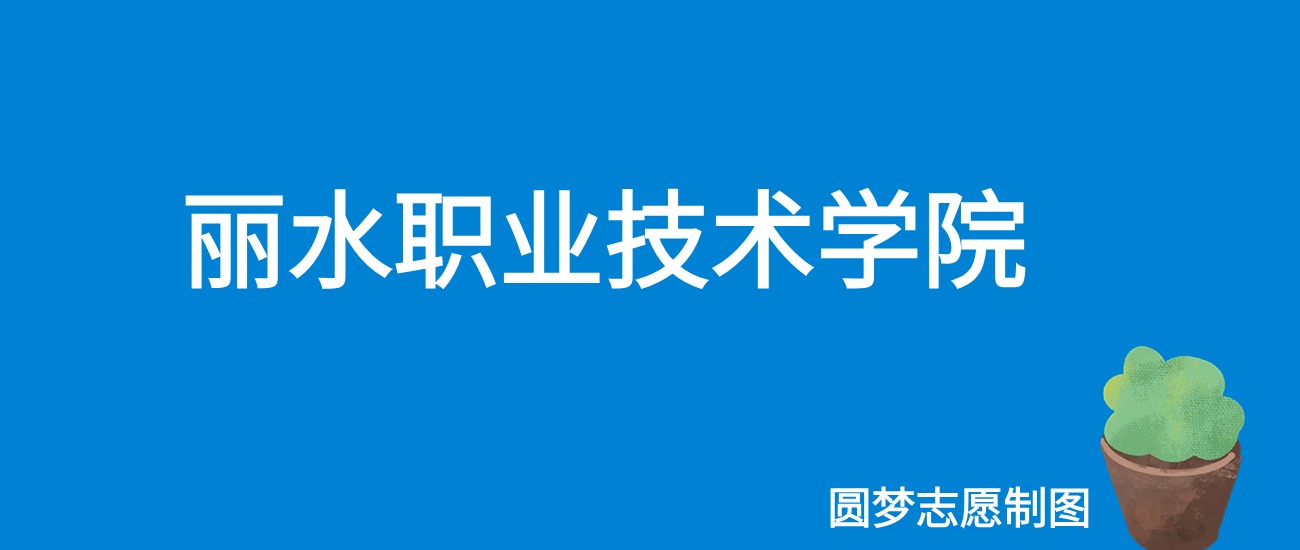 2024丽水职业技术学院录取分数线（全国各省最低分及位次）