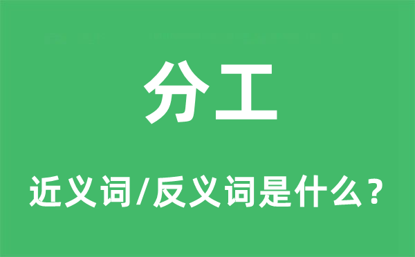 分工的近义词和反义词是什么,分工是什么意思