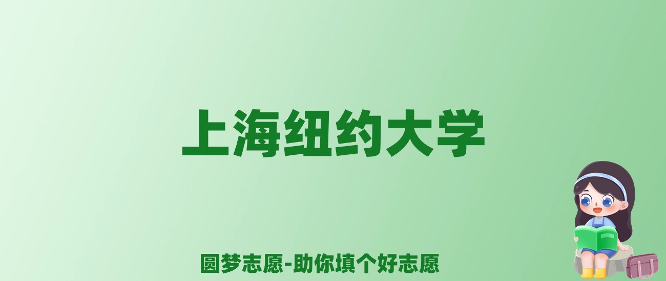 张雪峰谈上海纽约大学：和公办本科的差距对比、热门专业推荐