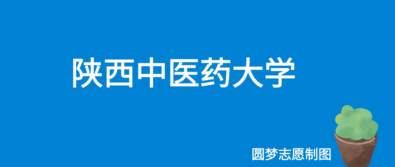 2024陕西中医药大学录取分数线（全国各省最低分及位次）