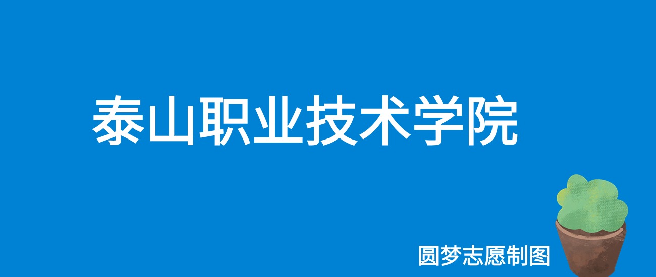 2024泰山职业技术学院录取分数线（全国各省最低分及位次）