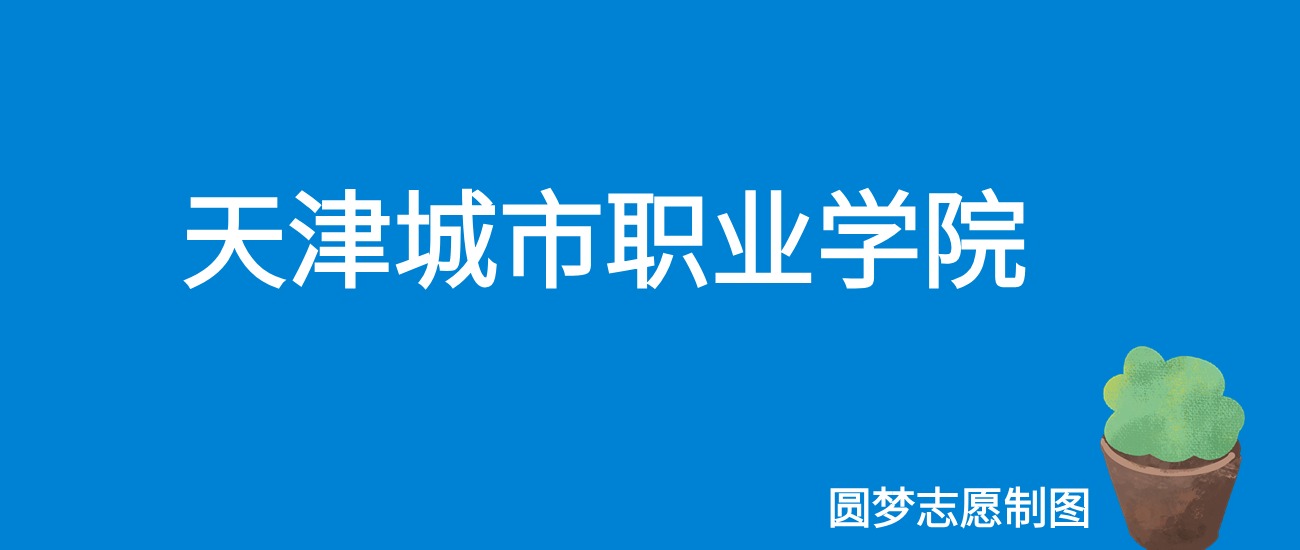 2024天津城市职业学院录取分数线（全国各省最低分及位次）