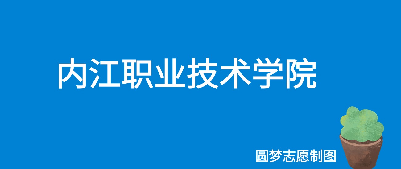 2024内江职业技术学院录取分数线（全国各省最低分及位次）