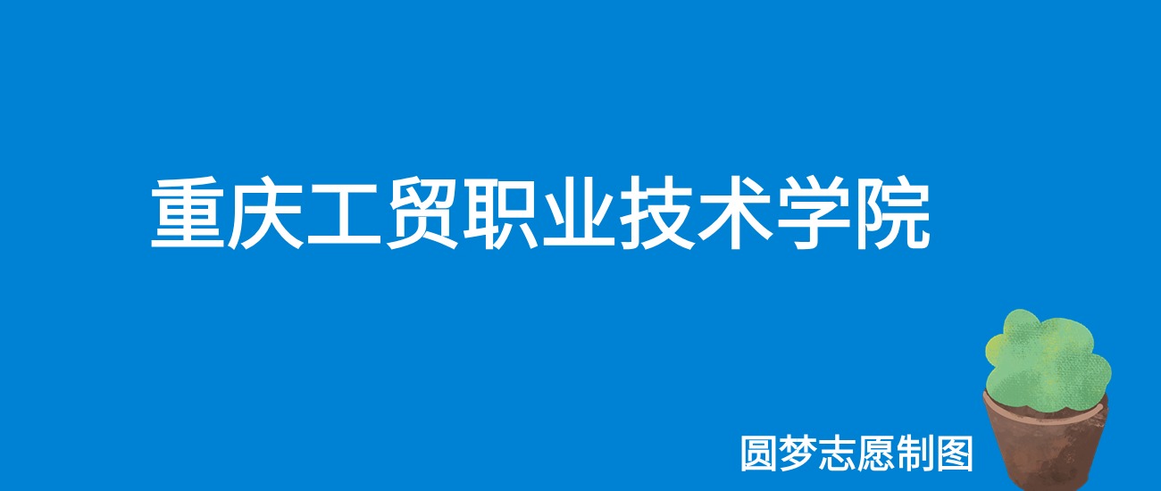 2024重庆工贸职业技术学院录取分数线（全国各省最低分及位次）