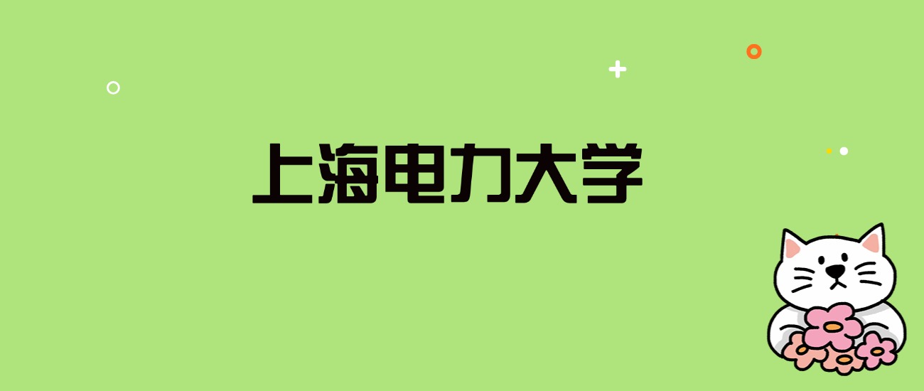 2024年上海电力大学录取分数线是多少？看全国29省的最低分