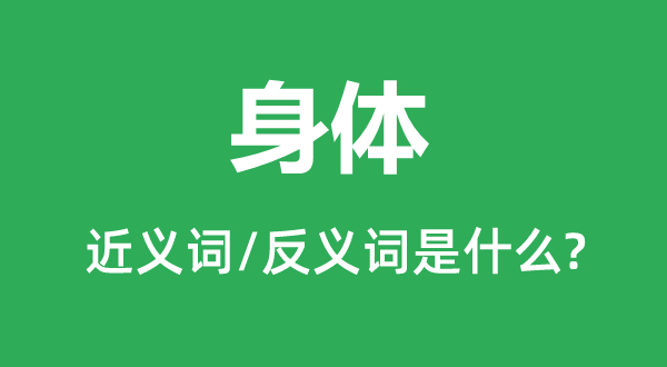 身体的近义词和反义词是什么,身体是什么意思