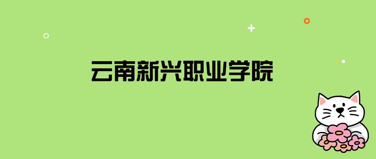 2024年云南新兴职业学院录取分数线是多少？看全国19省的最低分