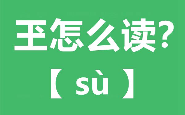 玊怎么读,玊念什么,玊字的拼音,玊字是什么意思