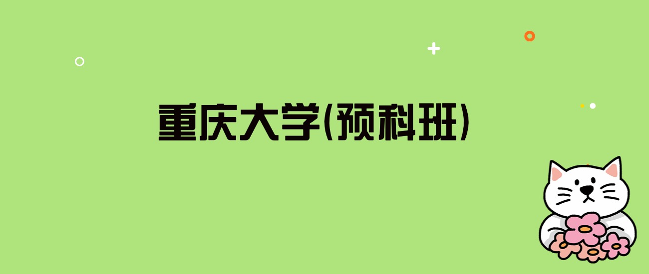 2024年重庆大学(预科班)录取分数线是多少？看全国4省的最低分