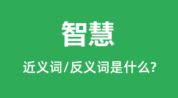 智慧的近义词和反义词是什么,智慧是什么意思