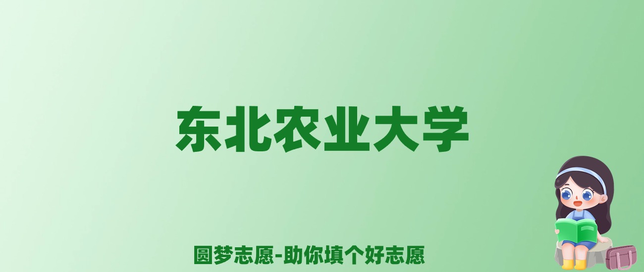 张雪峰谈东北农业大学：和985的差距对比、热门专业推荐