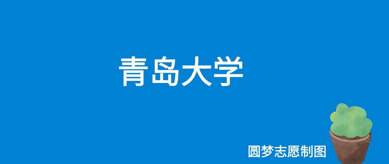 2024青岛大学录取分数线（全国各省最低分及位次）