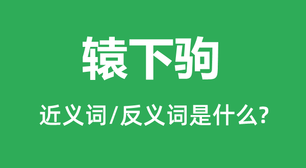 辕下驹的近义词和反义词是什么,辕下驹是什么意思