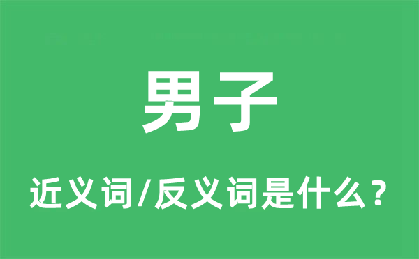 男子的近义词和反义词是什么,男子是什么意思