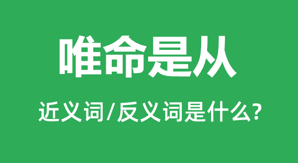 唯命是从的近义词和反义词是什么,唯命是从是什么意思