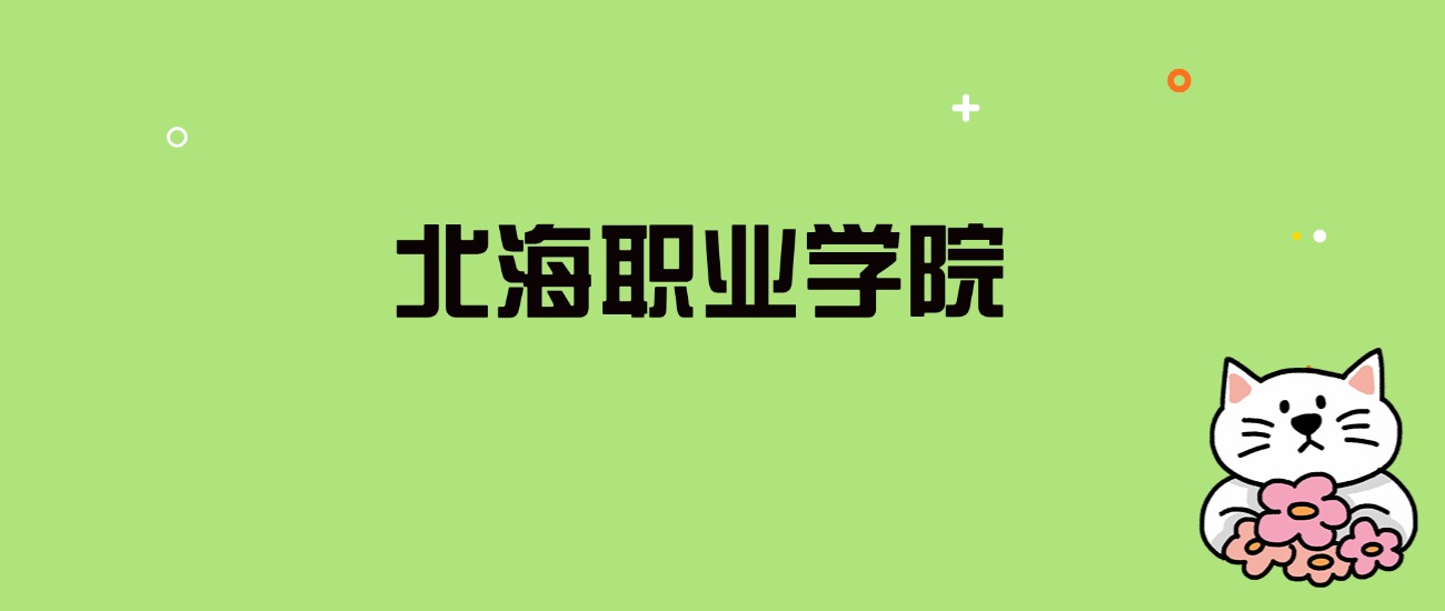 2024年北海职业学院录取分数线是多少？看全国9省的最低分