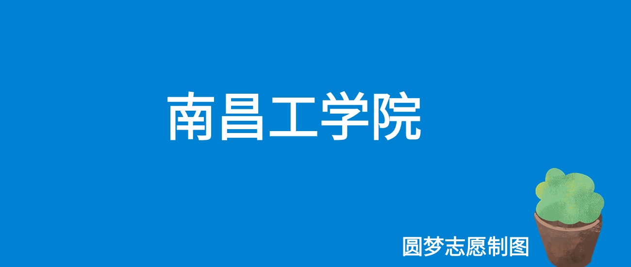 2024南昌工学院录取分数线（全国各省最低分及位次）