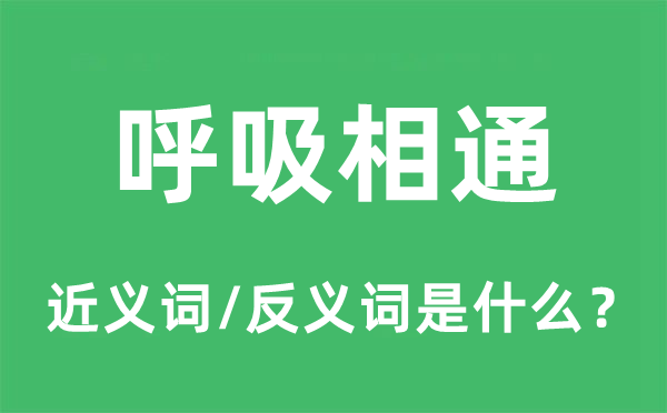 呼吸相通的近义词和反义词是什么,呼吸相通是什么意思