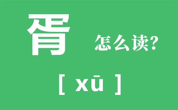 胥怎么读,胥的拼音,胥有什么含义