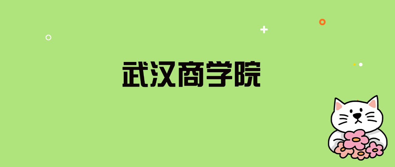 2024年武汉商学院录取分数线是多少？看全国19省的最低分