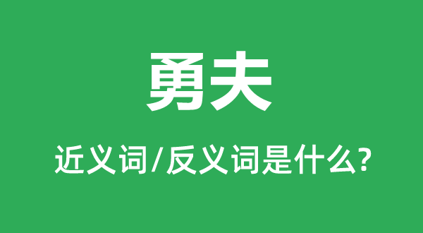 勇夫的近义词和反义词是什么,勇夫是什么意思