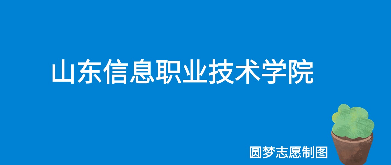 2024山东信息职业技术学院录取分数线（全国各省最低分及位次）