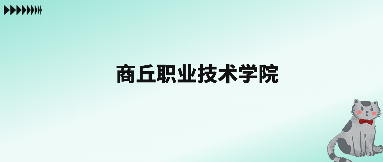 张雪峰评价商丘职业技术学院：王牌专业是软件技术