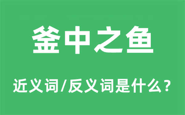 釜中之鱼的近义词和反义词是什么,釜中之鱼是什么意思