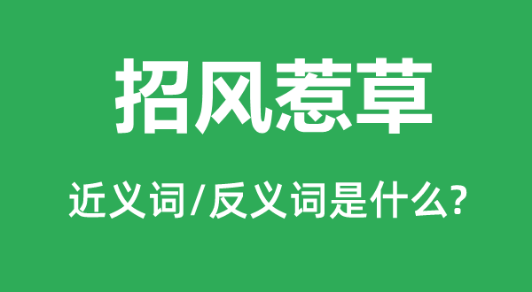 招风惹草的近义词和反义词是什么,招风惹草是什么意思