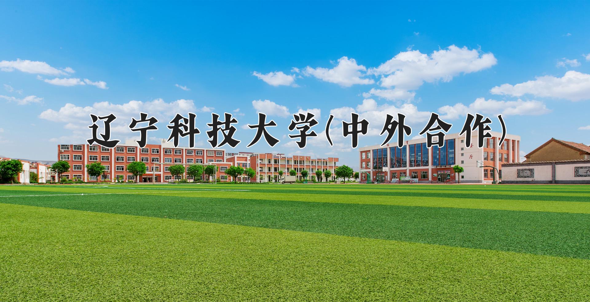 辽宁科技大学(中外合作)